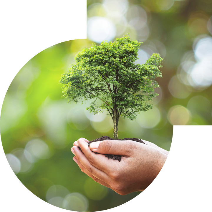 关怀人类、文化、环境与社会